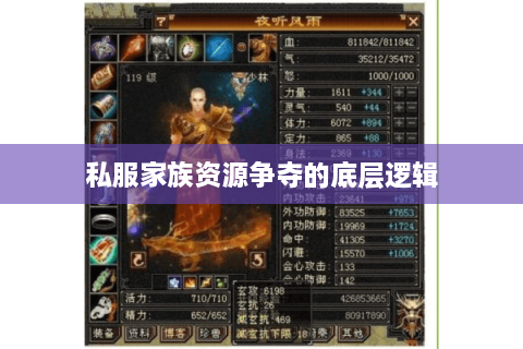 私服家族资源争夺的底层逻辑 私服家族资源争夺的底层逻辑