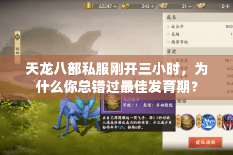 天龙八部私服刚开三小时，为什么你总错过最佳发育期？