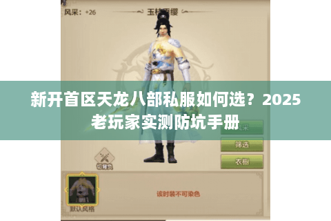新开首区天龙八部私服如何选？2025老玩家实测防坑手册