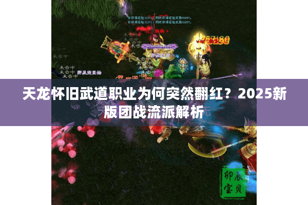 天龙怀旧武道职业为何突然翻红？2025新版团战流派解析