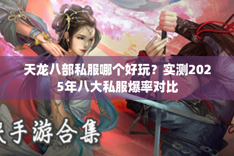 天龙八部私服哪个好玩？实测2025年八大私服爆率对比