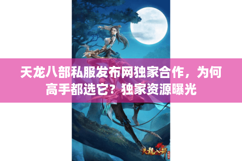 天龙八部私服发布网独家合作，为何高手都选它？独家资源曝光