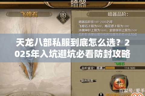 天龙八部私服到底怎么选？2025年入坑避坑必看防封攻略