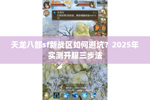 天龙八部sf新战区如何避坑？2025年实测开服三步法