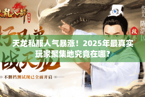 天龙私服人气暴涨！2025年最真实玩家聚集地究竟在哪？
