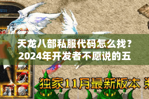 天龙八部私服代码怎么找？2024年开发者不愿说的五种方法