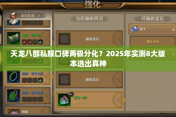 天龙八部私服口碑两极分化?2025年实测8大版本选出真神 天龙八部私服口碑两极分化?2025年实测8大版本选出真神