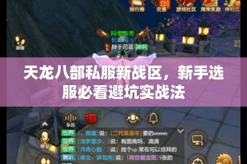 天龙八部私服新战区，新手选服必看避坑实战法