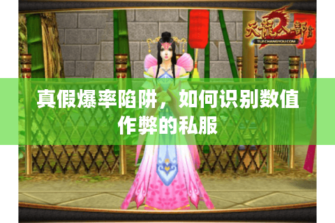 真假爆率陷阱，如何识别数值作弊的私服