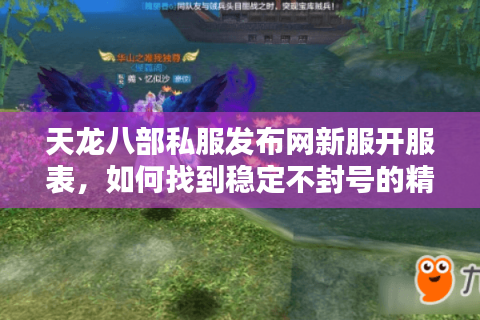 天龙八部私服发布网新服开服表，如何找到稳定不封号的精品服务器？