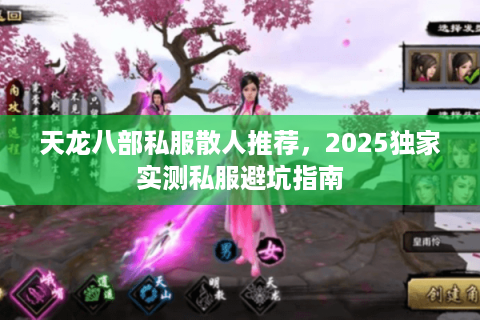 天龙八部私服散人推荐，2025独家实测私服避坑指南