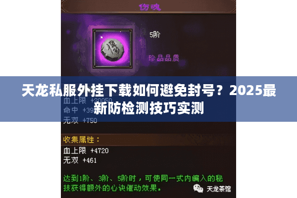 天龙私服外挂下载如何避免封号？2025最新防检测技巧实测