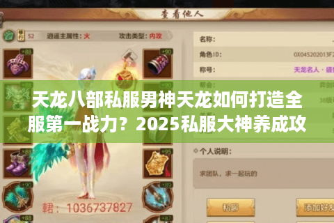 天龙八部私服男神天龙如何打造全服第一战力？2025私服大神养成攻略揭秘