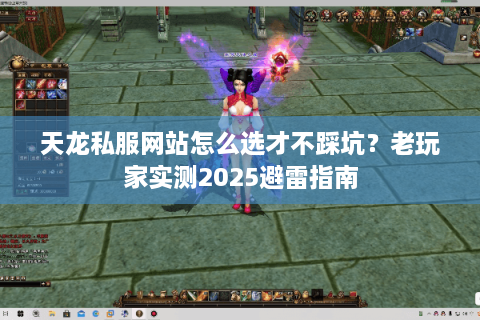 天龙私服网站怎么选才不踩坑？老玩家实测2025避雷指南