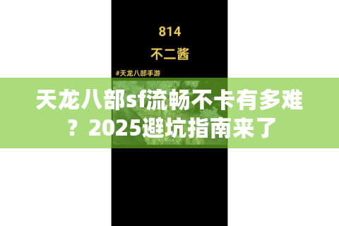 天龙八部sf流畅不卡有多难？2025避坑指南来了
