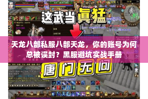 天龙八部私服八部天龙，你的账号为何总被误封？黑服避坑实战手册