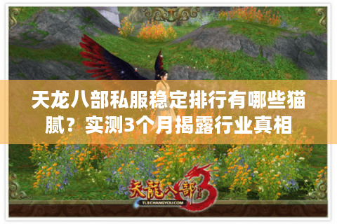 天龙八部私服稳定排行有哪些猫腻？实测3个月揭露行业真相