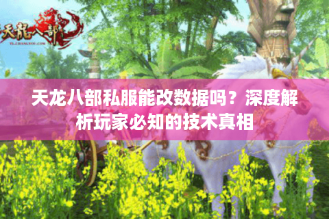 天龙八部私服能改数据吗？深度解析玩家必知的技术真相
