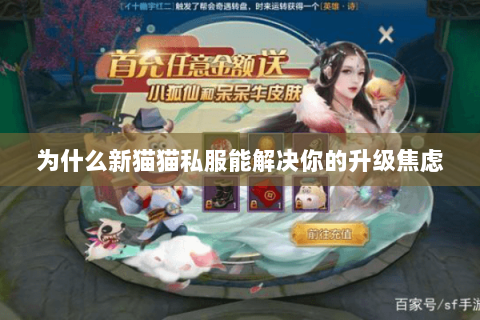 为什么新猫猫私服能解决你的升级焦虑