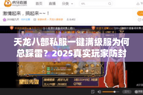 天龙八部私服一键满级服为何总踩雷？2025真实玩家防封避坑手册