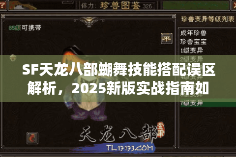 SF天龙八部蝴舞技能搭配误区解析，2025新版实战指南如何提升输出？