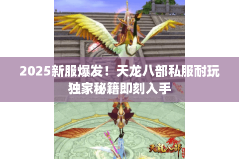2025新服爆发！天龙八部私服耐玩独家秘籍即刻入手