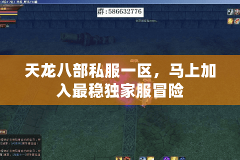 天龙八部私服一区，马上加入最稳独家服冒险