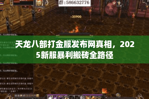 天龙八部打金服发布网真相，2025新服暴利搬砖全路径