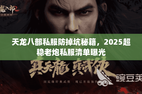 天龙八部私服防掉坑秘籍,2025超稳老炮私服清单曝光 天龙八部私服防掉坑秘籍,2025超稳老炮私服清单曝光