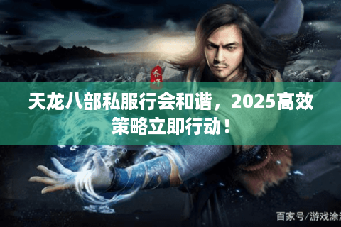 天龙八部私服行会和谐，2025高效策略立即行动！