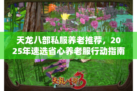 天龙八部私服养老推荐，2025年速选省心养老服行动指南