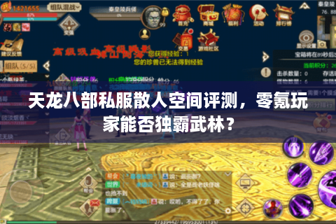 天龙八部私服散人空间评测，零氪玩家能否独霸武林？