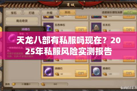 天龙八部有私服吗现在？2025年私服风险实测报告
