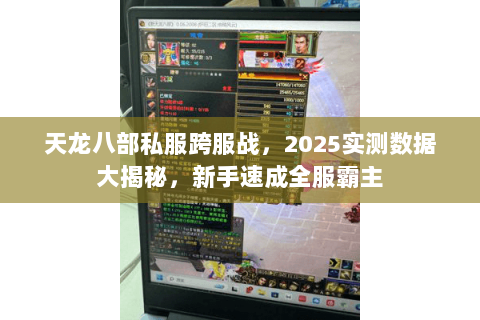 天龙八部私服跨服战，2025实测数据大揭秘，新手速成全服霸主