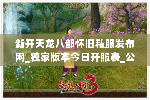 新开天龙八部怀旧私服发布网_独家版本今日开服表_公益服独家推荐