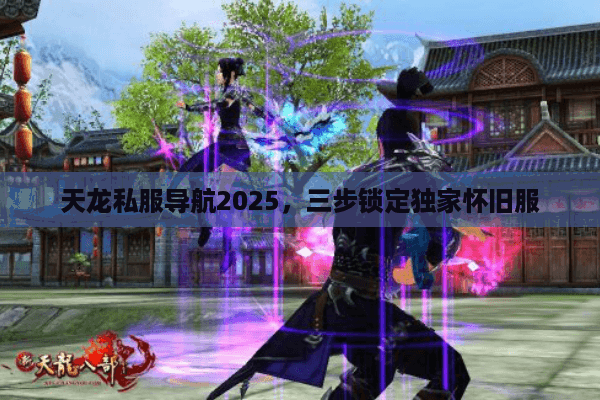 天龙私服导航2025，三步锁定独家怀旧服