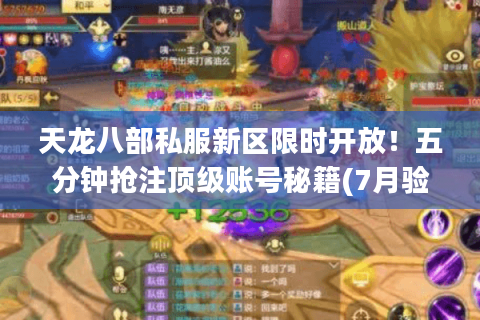 天龙八部私服新区限时开放！五分钟抢注顶级账号秘籍(7月验证)