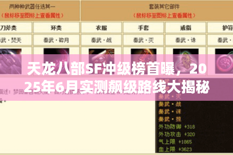 天龙八部SF冲级榜首曝，2025年6月实测飙级路线大揭秘