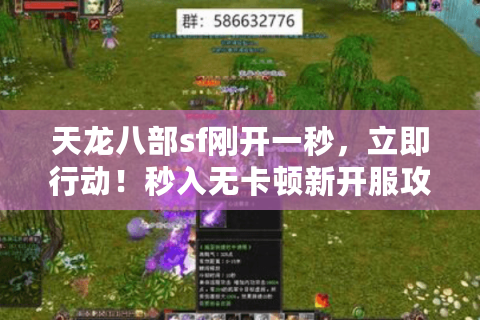 天龙八部sf刚开一秒，立即行动！秒入无卡顿新开服攻略