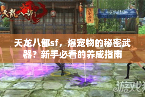 天龙八部sf，爆宠物的秘密武器？新手必看的养成指南