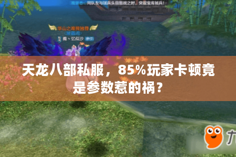 天龙八部私服，85%玩家卡顿竟是参数惹的祸？