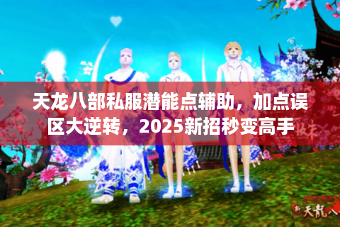 天龙八部私服潜能点辅助，加点误区大逆转，2025新招秒变高手