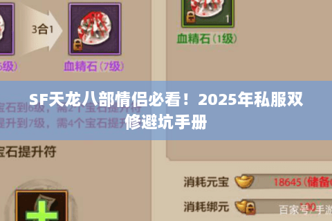 SF天龙八部情侣必看！2025年私服双修避坑手册