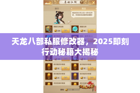 天龙八部私服修改器，2025即刻行动秘籍大揭秘