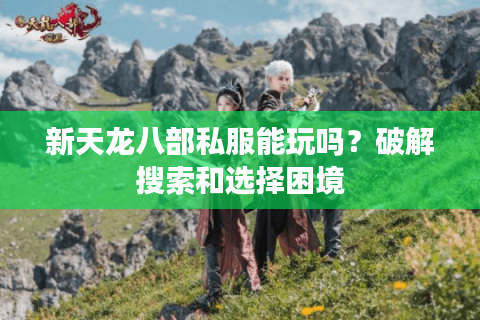 新天龙八部私服能玩吗？破解搜索和选择困境