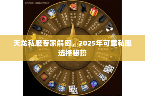 天龙私服专家解密，2025年可靠私服选择秘籍