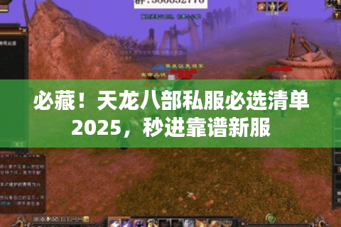 必藏！天龙八部私服必选清单2025，秒进靠谱新服