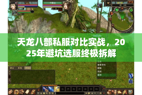 天龙八部私服对比实战，2025年避坑选服终极拆解