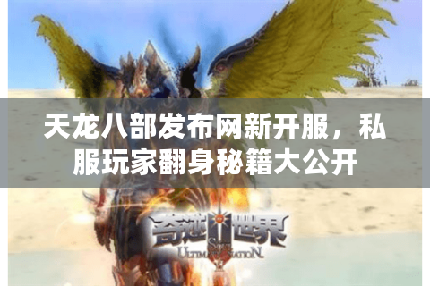 天龙八部发布网新开服，私服玩家翻身秘籍大公开
