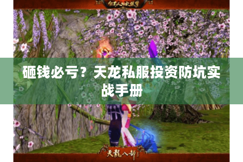 砸钱必亏？天龙私服投资防坑实战手册